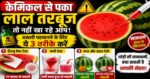सावधान! कहीं केमिकल से पका लाल तरबूज तो नहीं खा रहे आप? ऐसे करें असली-नकली की पहचान