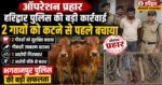 हरिद्वार में गौकशी की तैयारी नाकाम, पुलिस ने 2 गायों को बचाया
