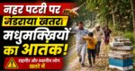 सुबह की सैर बनी खतरा! नहर पटरी पर रखे मधुमक्खी बॉक्सों से दहशत