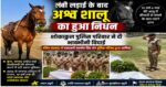 लंबी सेवा के बाद ‘शालू’ को अंतिम सलाम: नम आंखों से विदा हुई हरिद्वार पुलिस की भरोसेमंद साथी