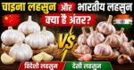 बाजार में देसी और चाइना लहसुन की चर्चा, खरीदते समय इन 5 बातों का रखें ध्यान